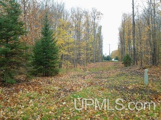 Tbd Whitefish Road Chatham, MI 49816 - Photo 10 of 30