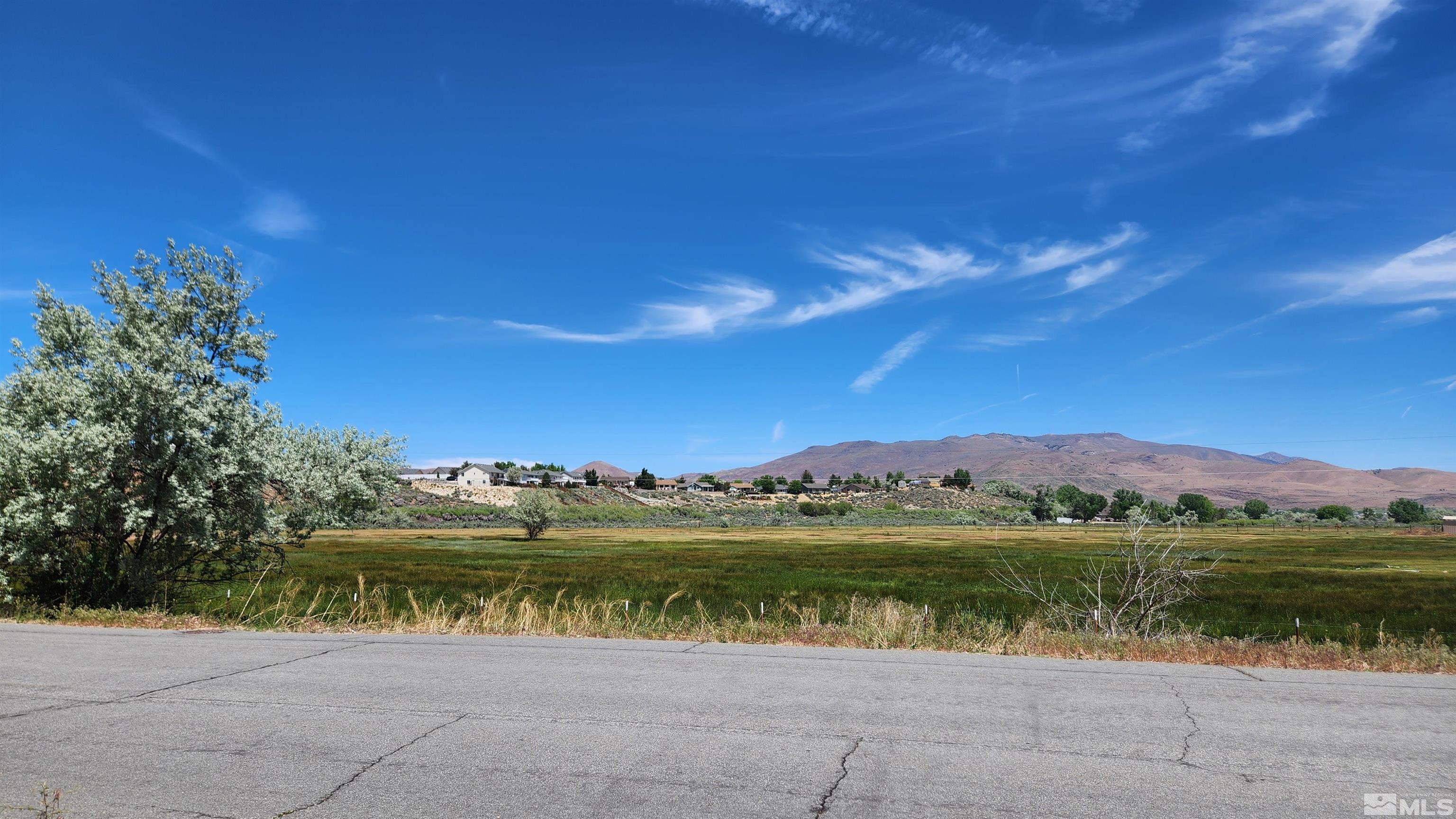 4323 Hells Bells Road Carson City, NV 89701 - Photo 2 of 39 Photo 2