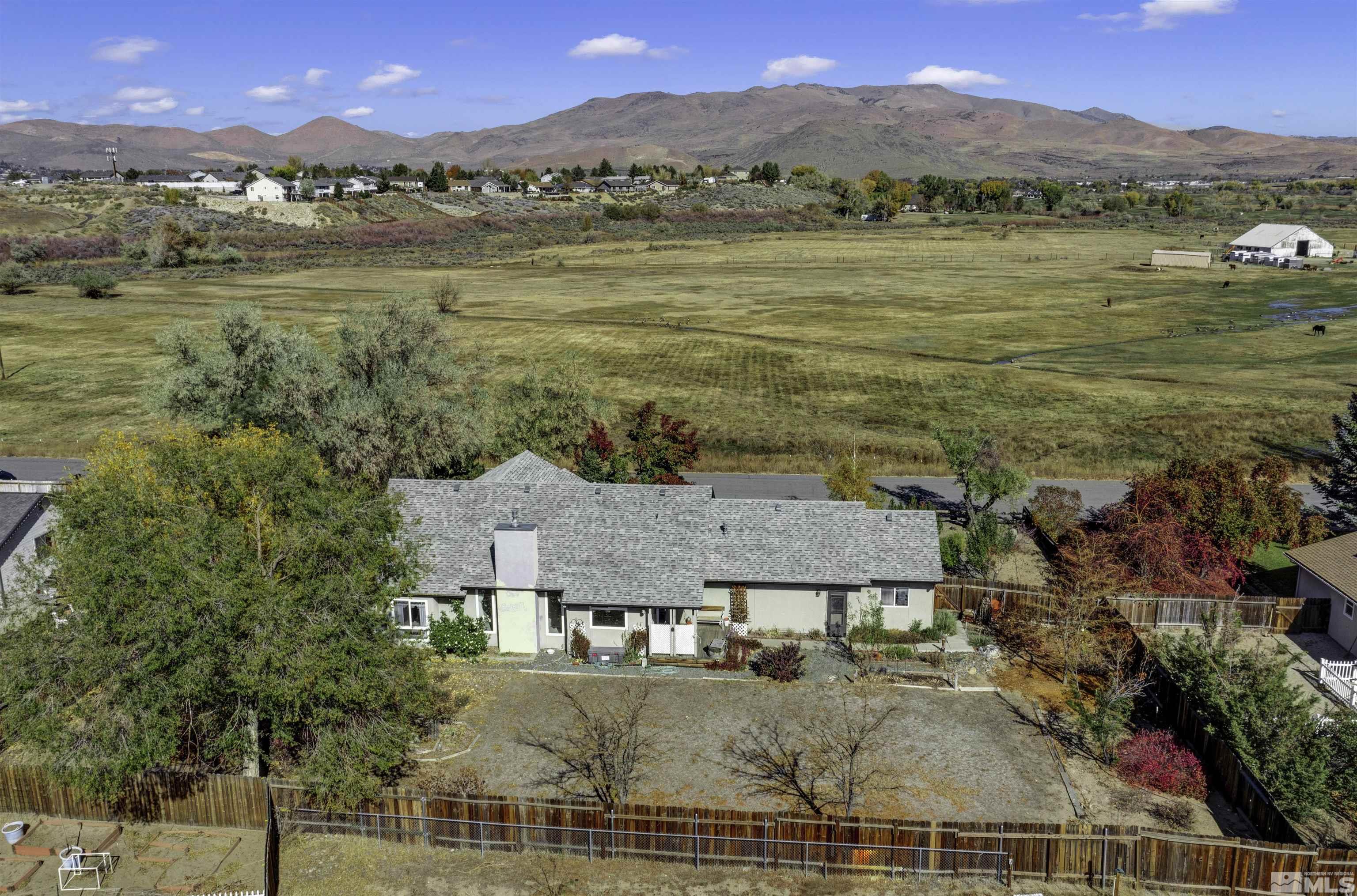 4323 Hells Bells Road Carson City, NV 89701 - Photo 6 of 39 Photo 6