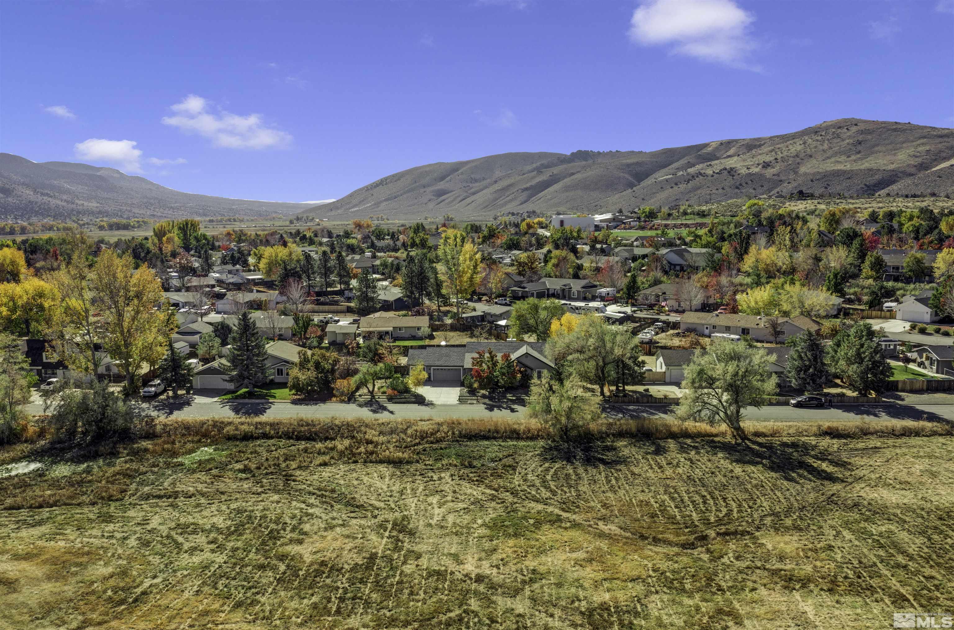 4323 Hells Bells Road Carson City, NV 89701 - Photo 8 of 39 Photo 8