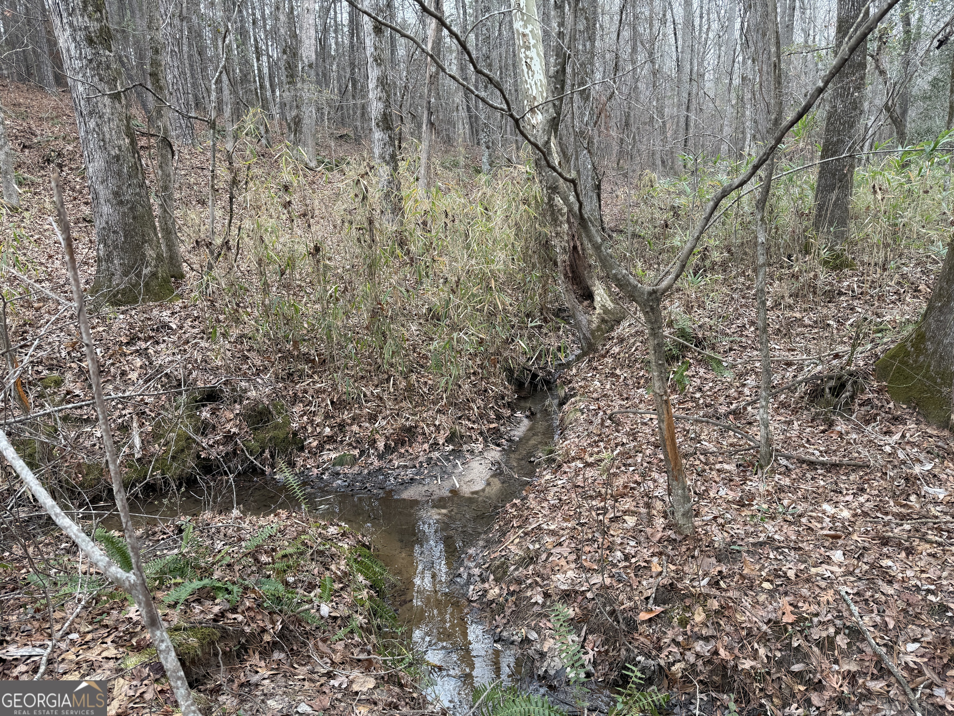 0 Haines Road Franklin, GA 30217 - Photo 2 of 4