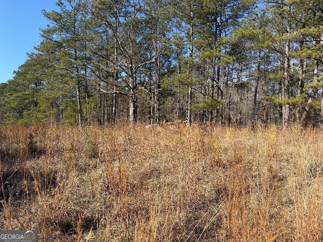 0 Haines Road Franklin, GA 30217 - Photo 2 of 4 a view of a yard