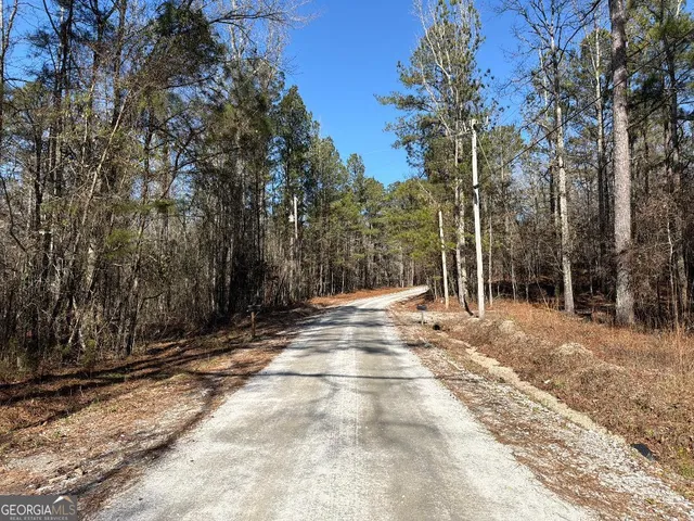 a view of backyard space