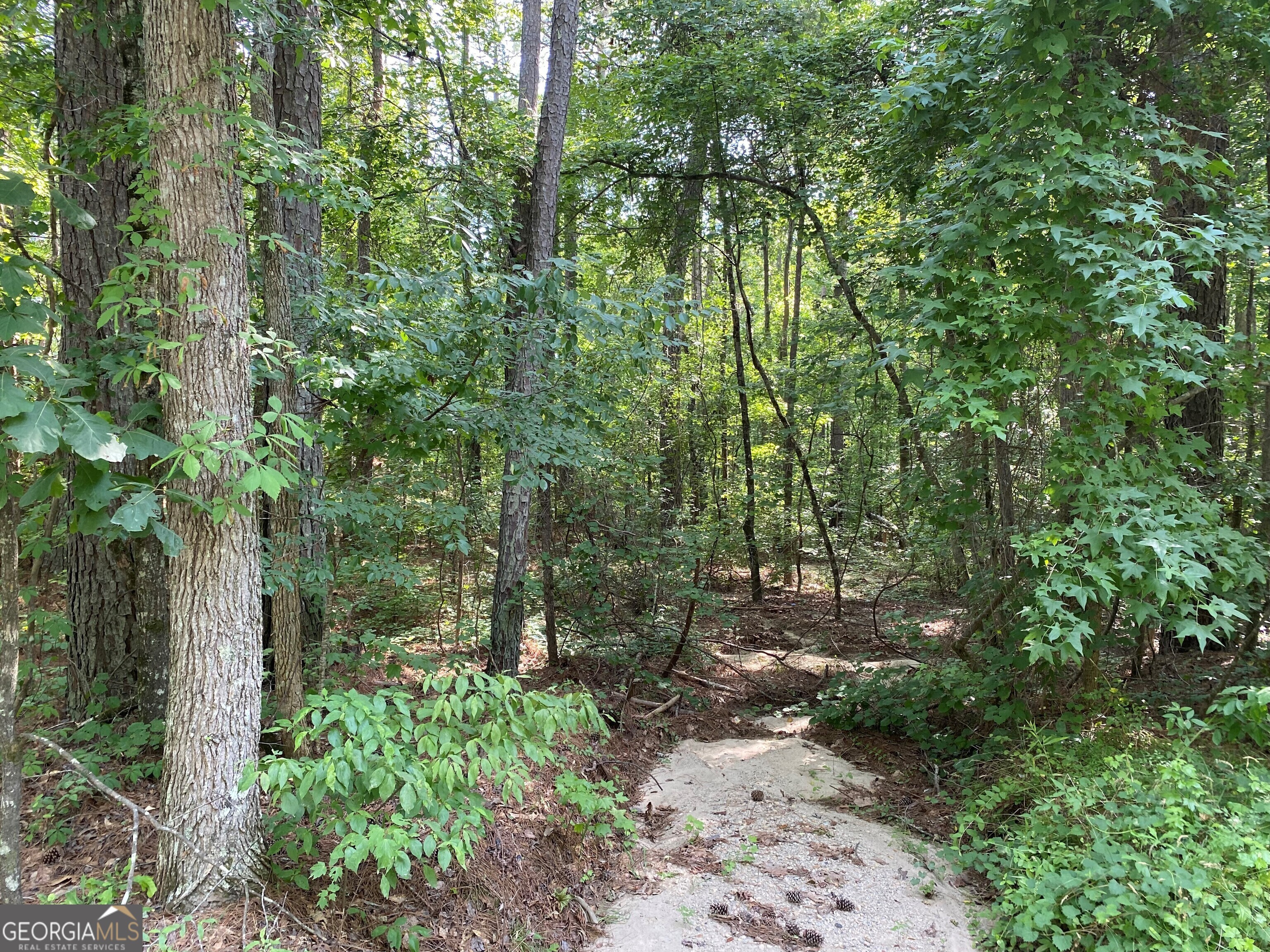 0 Haines Road Franklin, GA 30217 - Photo 4 of 4