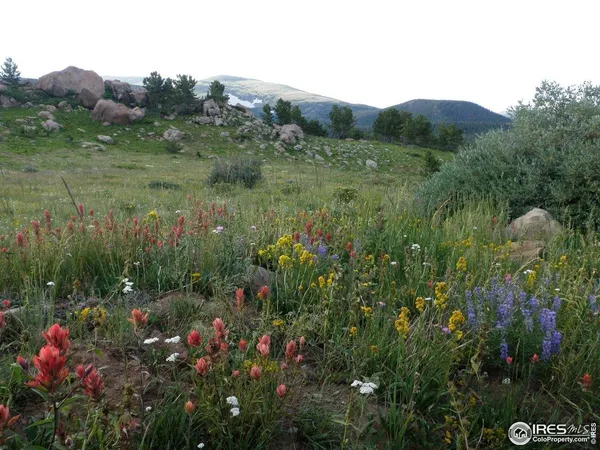 $365,000 | 128 West Boulder Street, Nederland, CO 80466