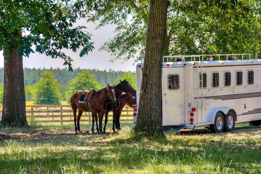 490 Big Tree Road Salley, SC 29137 - Photo 4 of 68