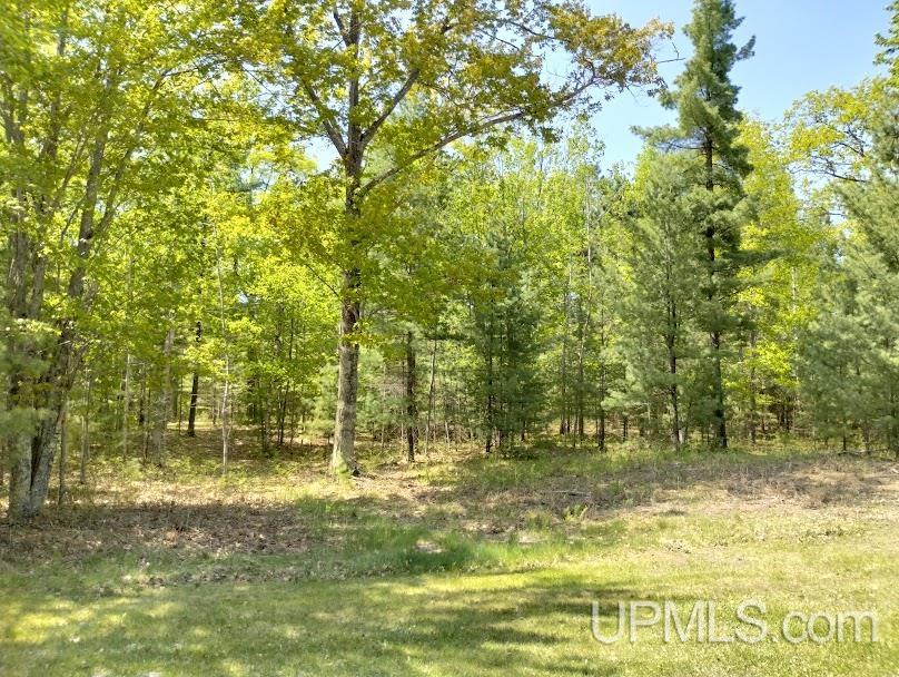 10441 Breezy R.22 Lane Rapid River, MI 49878 - Photo 1 of 5