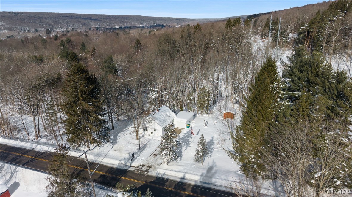 7147 Boston Colden Road Boston, NY 14025 - Photo 37 of 41