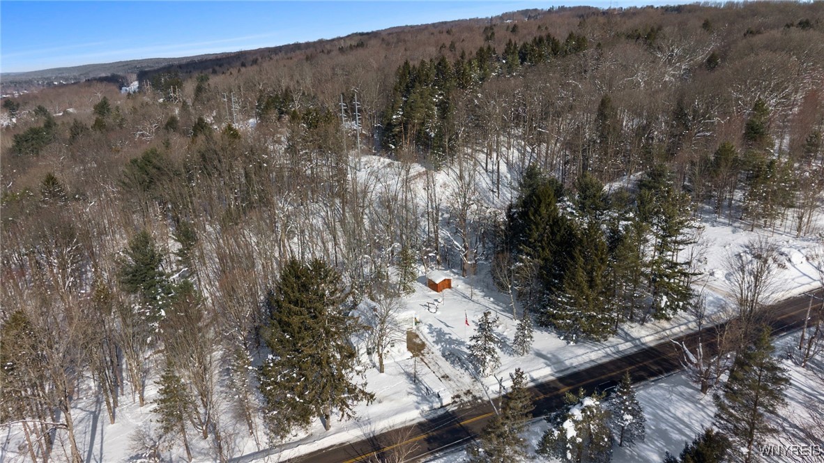 7147 Boston Colden Road Boston, NY 14025 - Photo 38 of 41