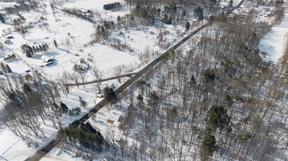 7147 Boston Colden Road Boston, NY 14025 - Photo 39 of 41