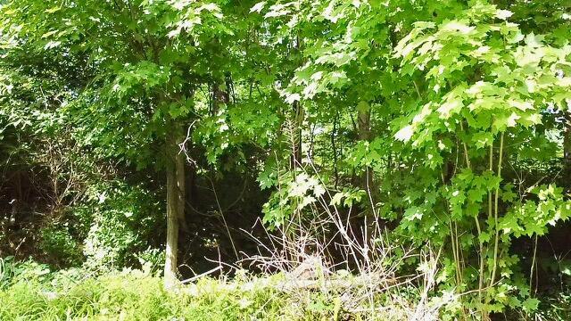 0 Tent Church Road Northeast, Unit LOT 1 Lancaster, OH 43130 - Photo 7 of 12 0 Tent Church Rd. NE - #6