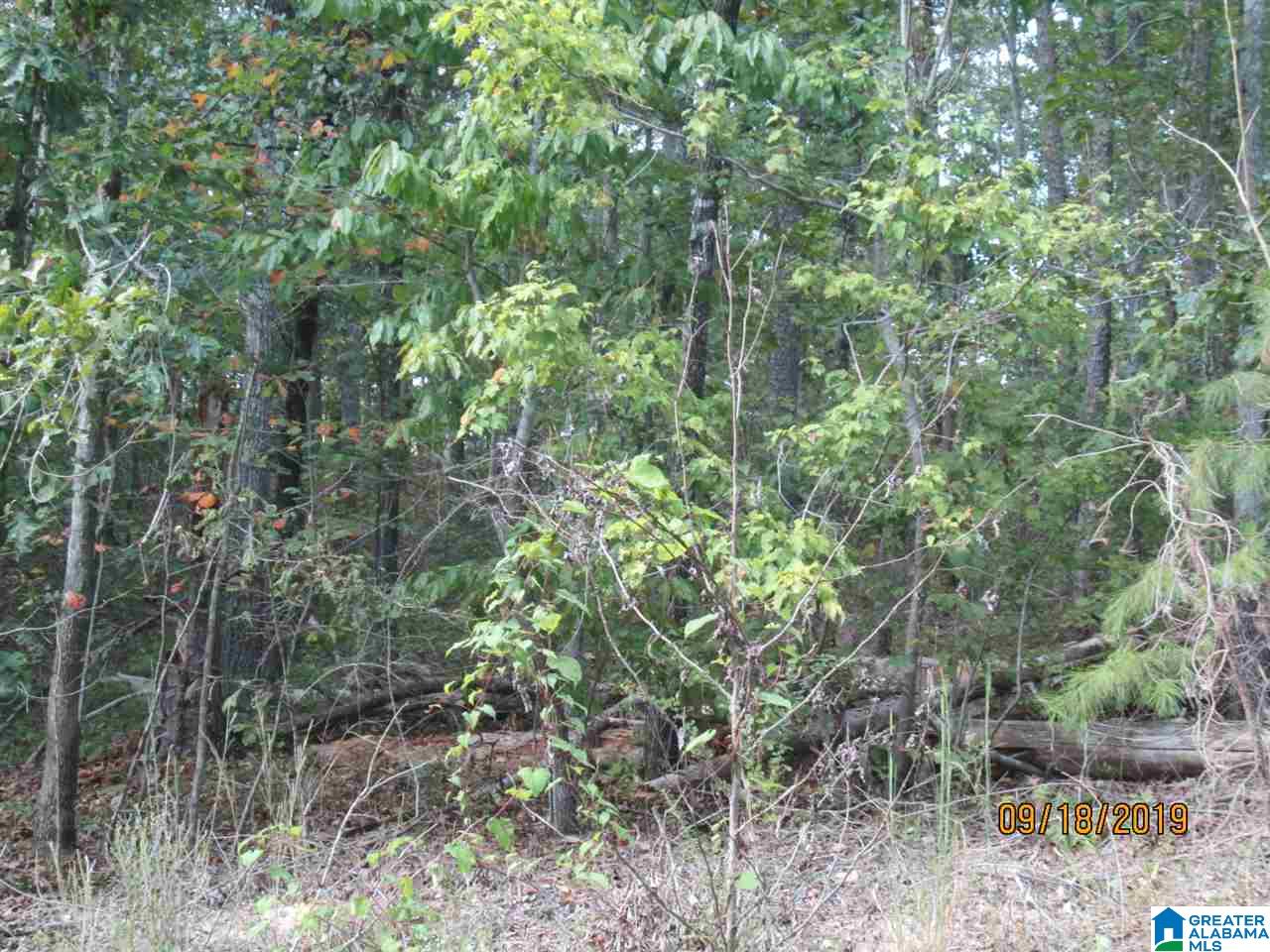 86 Red Valley Circle Remlap, AL 35133 - Photo 45 of 46