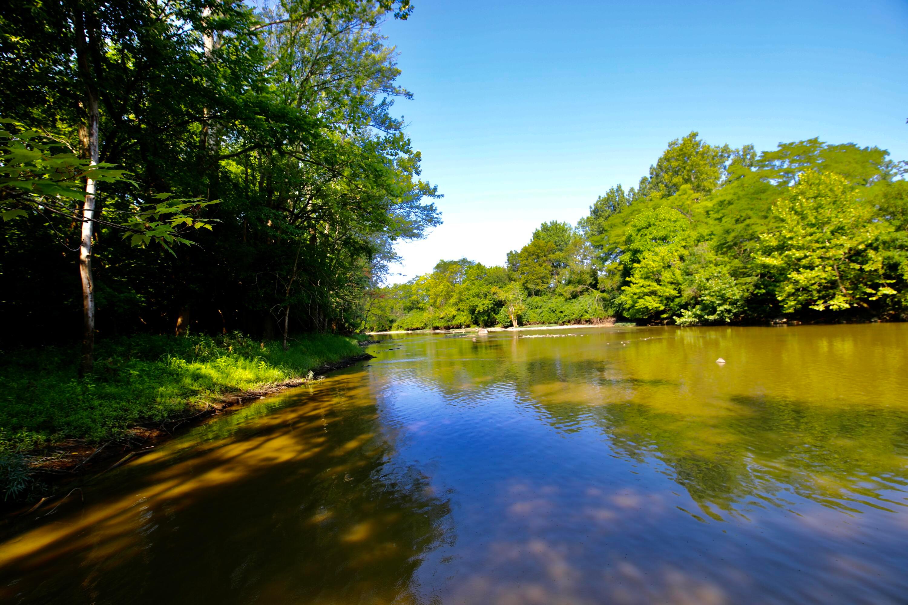538 Armstrong Road Delaware, OH 43015 - Photo 5 of 109 your backyard view of the Olentangy looking downstream