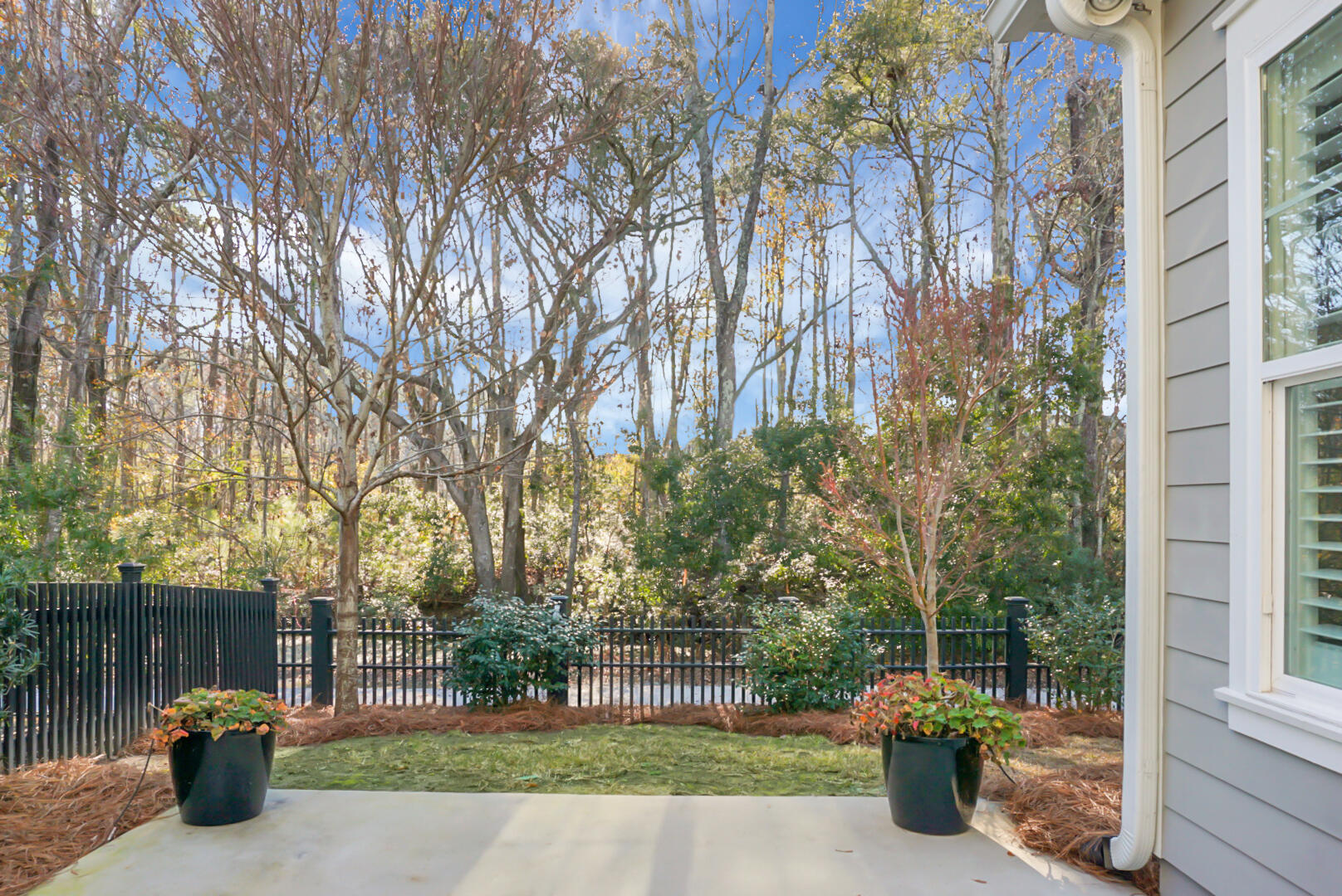 2345 Primus Road Mount Pleasant, SC 29466 - Photo 60 of 70 View of the wooded area behind the house