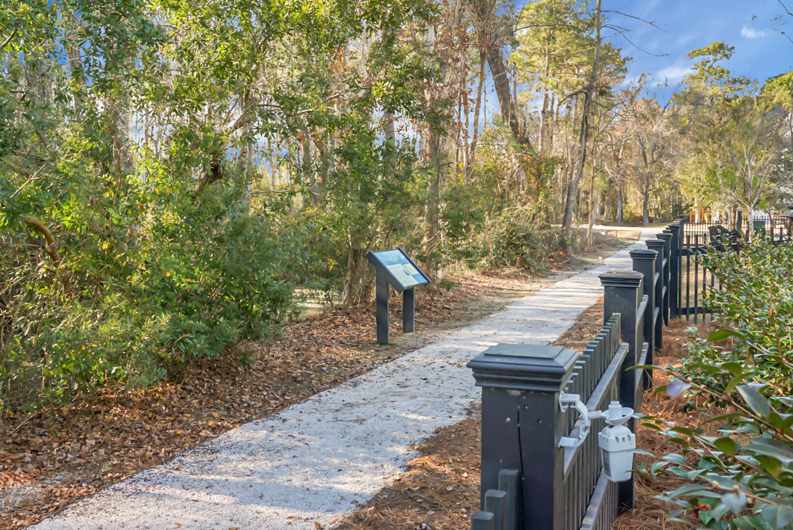 2345 Primus Road Mount Pleasant, SC 29466 - Photo 64 of 70 Walking Trail