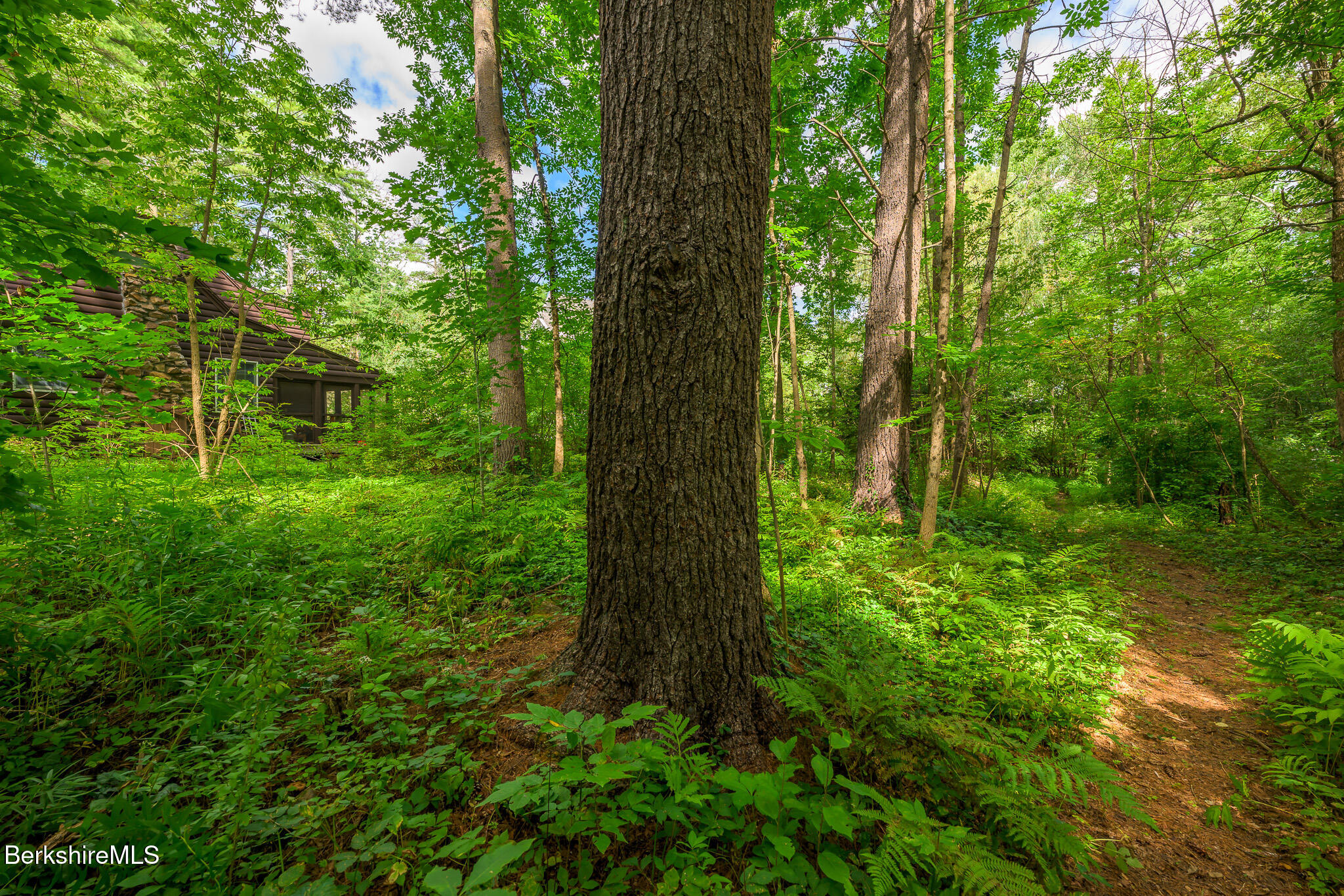 6 Grove Road Stockbridge, MA 01262 - Photo 31 of 36 Path to Beach