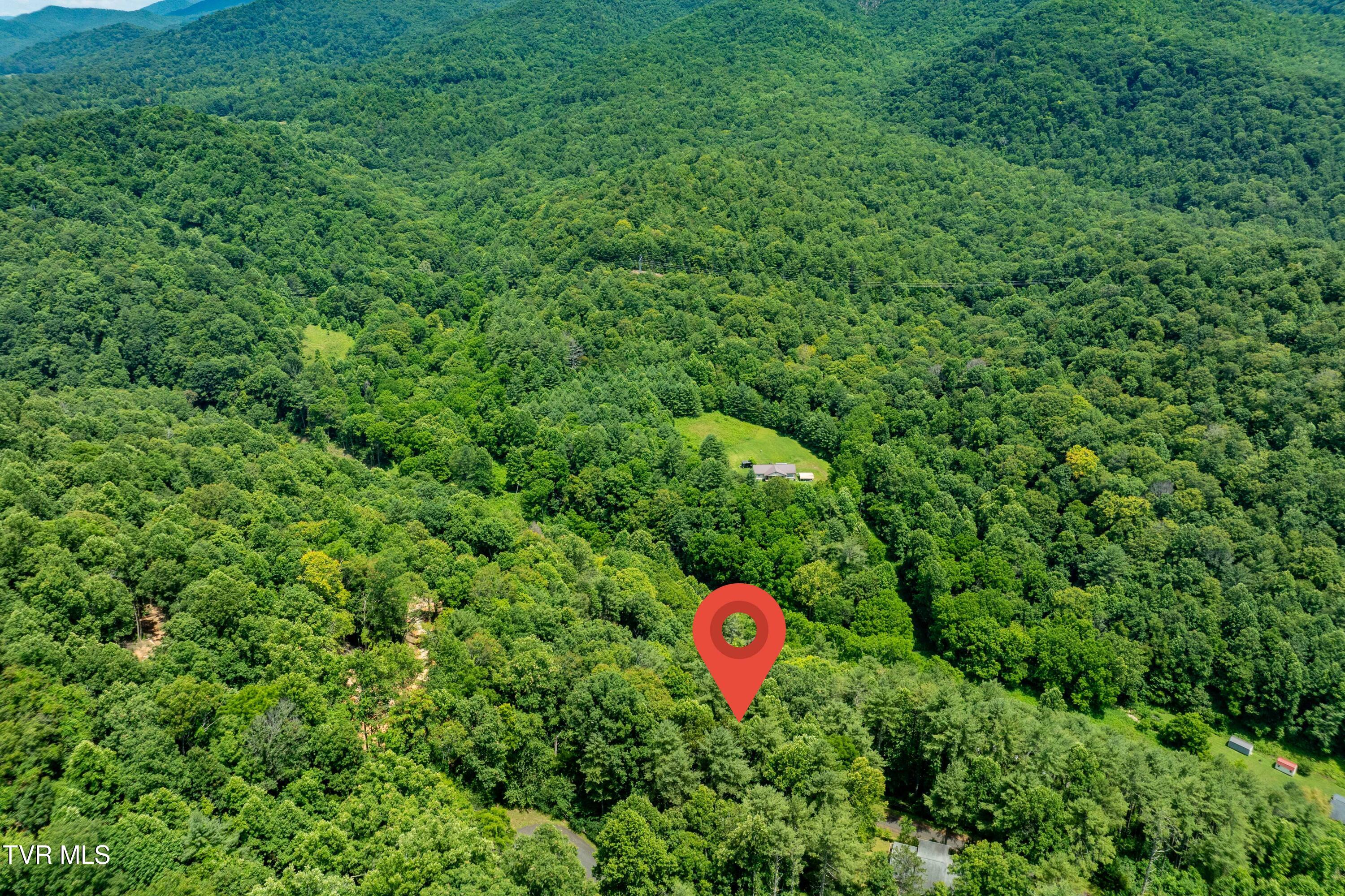 Lot 2 Lake Ridge Road, Unit 2 Butler, TN 37640 - Photo 17 of 26 Lot 2 (17 of 25)