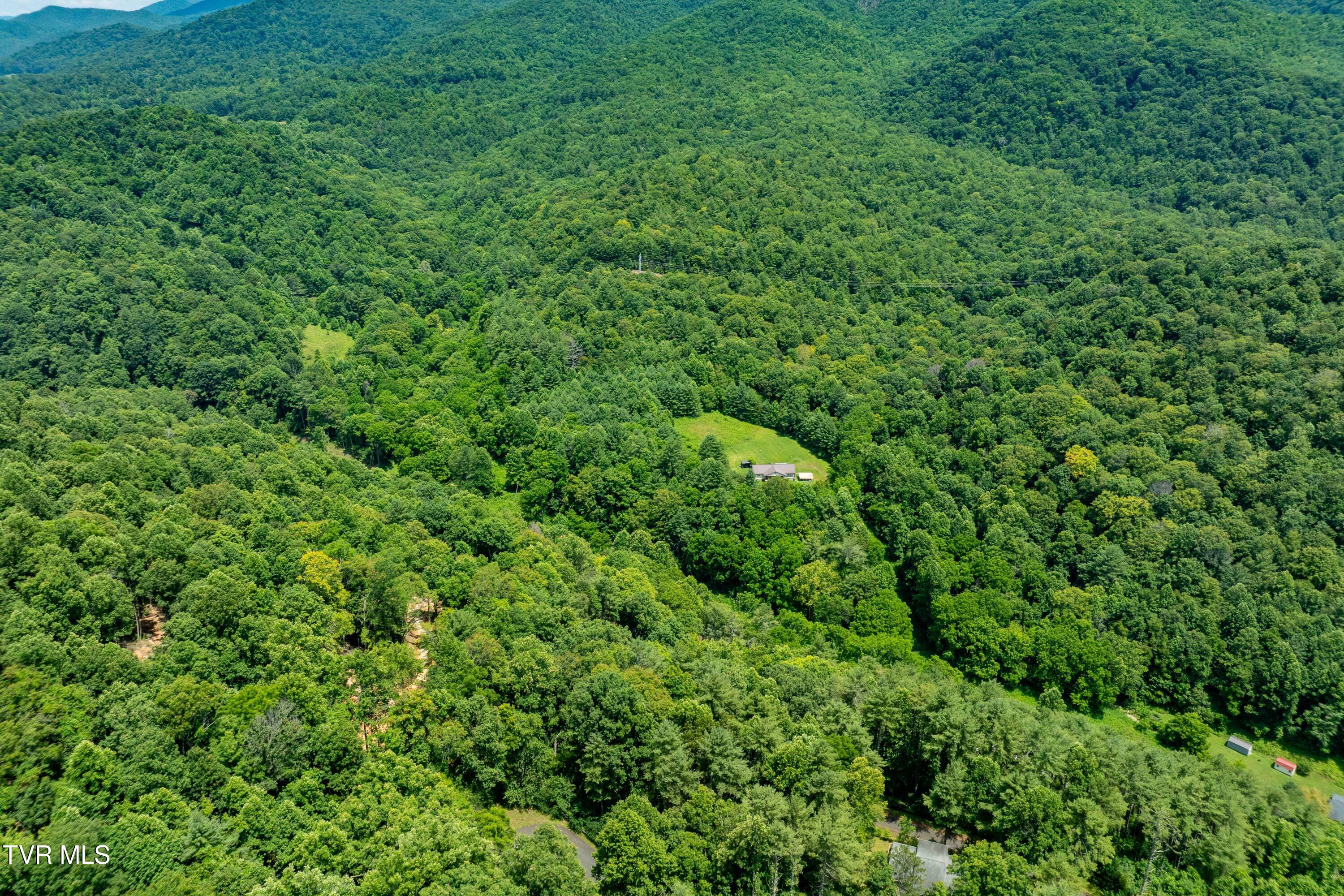 Lot 2 Lake Ridge Road, Unit 2 Butler, TN 37640 - Photo 18 of 26 Lot 2 (18 of 25)