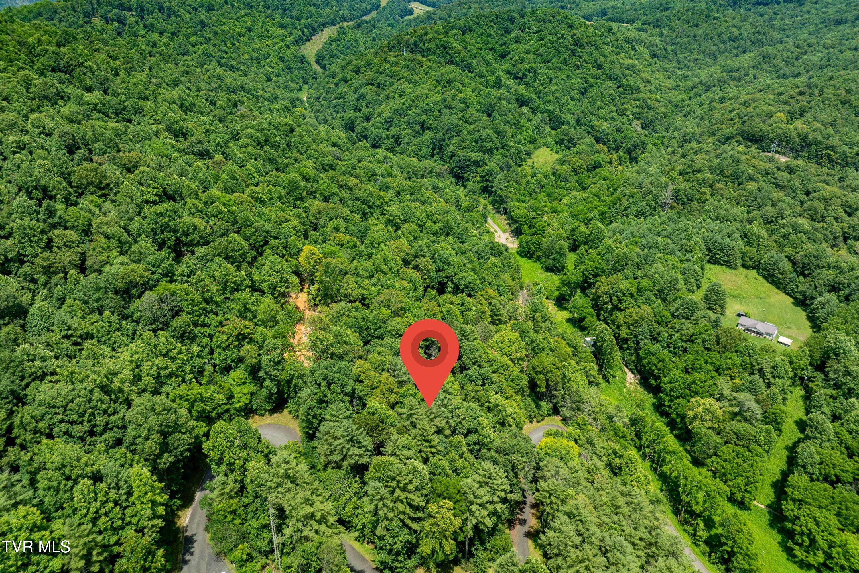 Lot 2 Lake Ridge Road, Unit 2 Butler, TN 37640 - Photo 19 of 26 Lot 2 (19 of 25)