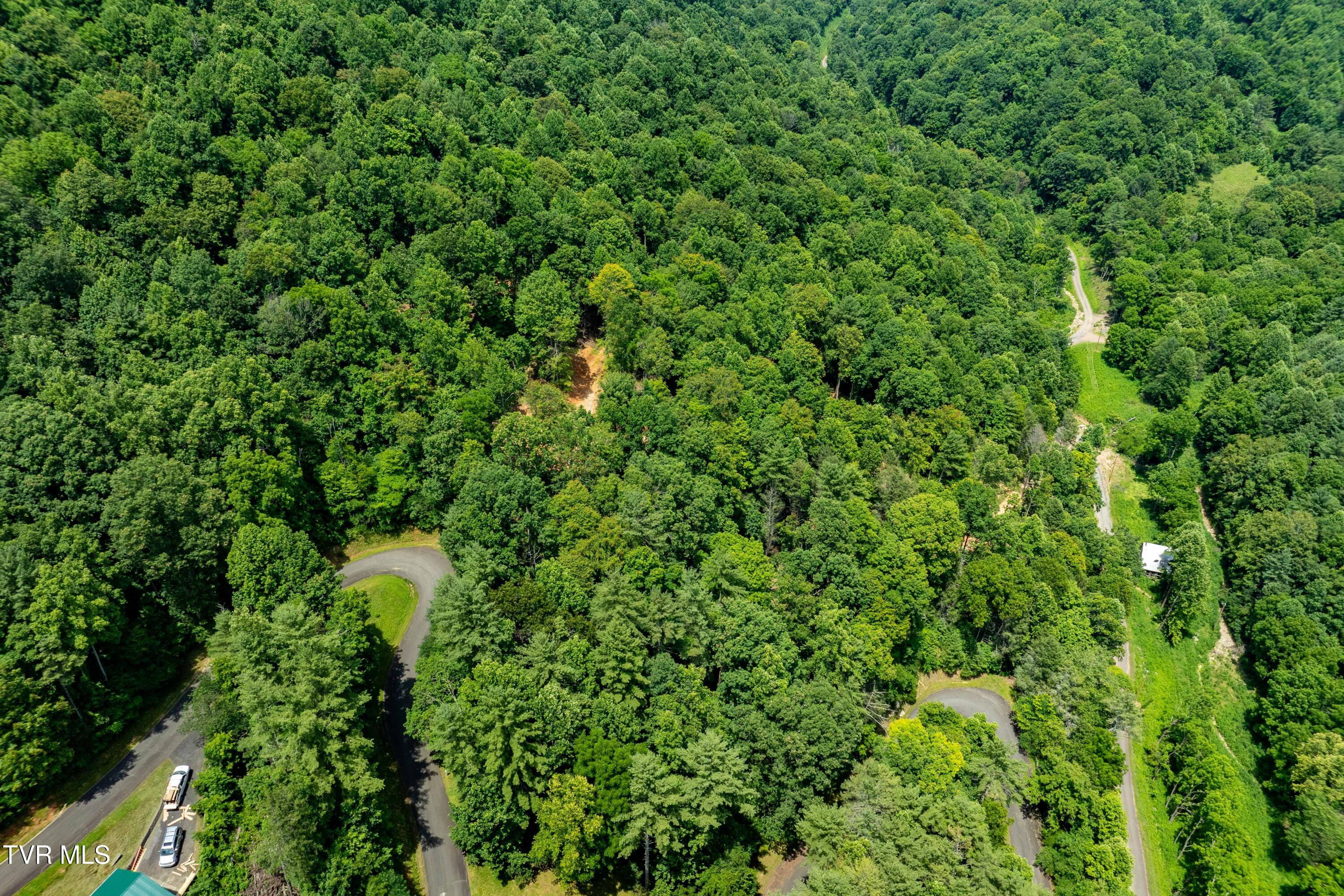 Lot 2 Lake Ridge Road, Unit 2 Butler, TN 37640 - Photo 22 of 26 Lot 2 (22 of 25)