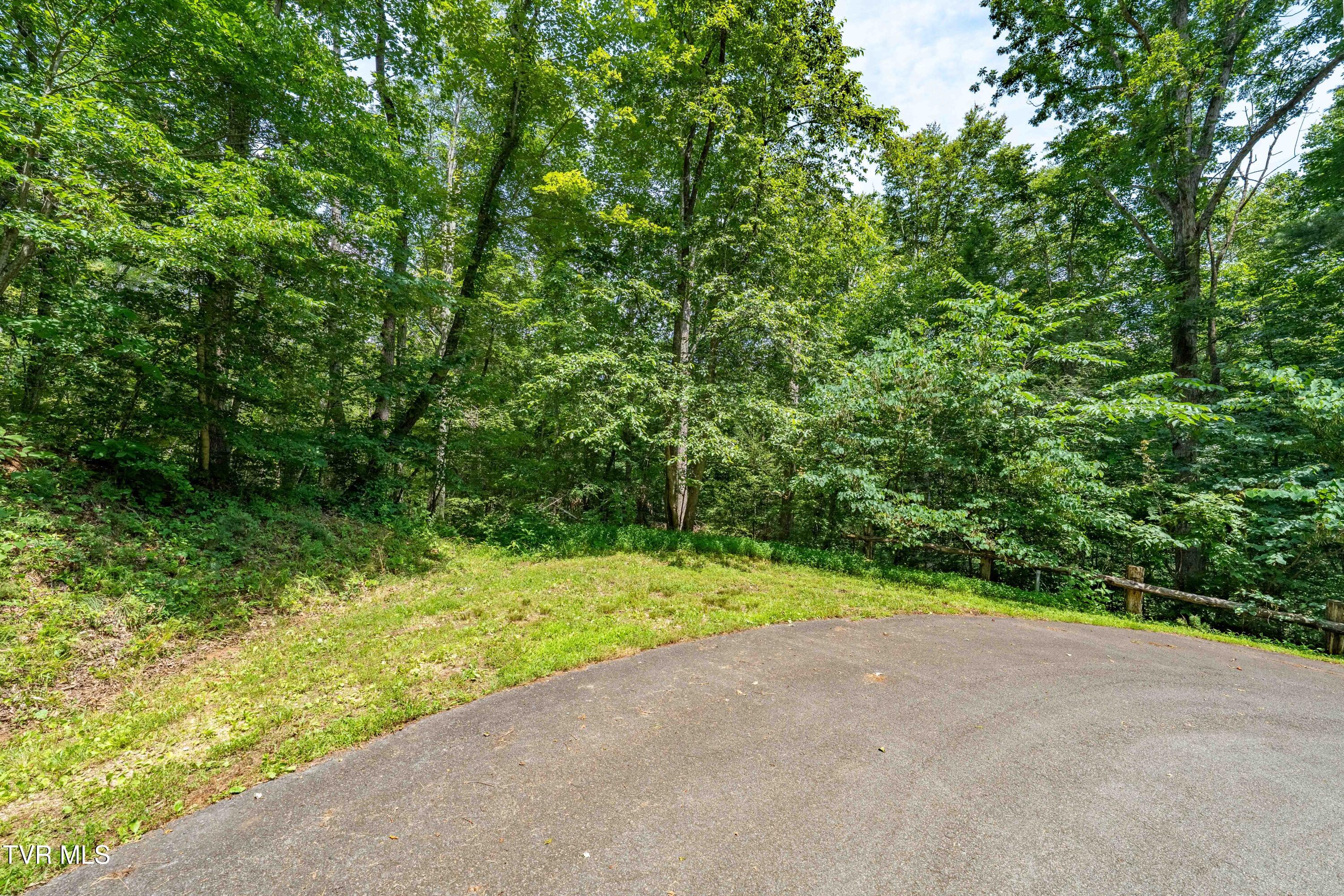 Lot 2 Lake Ridge Road, Unit 2 Butler, TN 37640 - Photo 23 of 26 Lot 2 (23 of 25)
