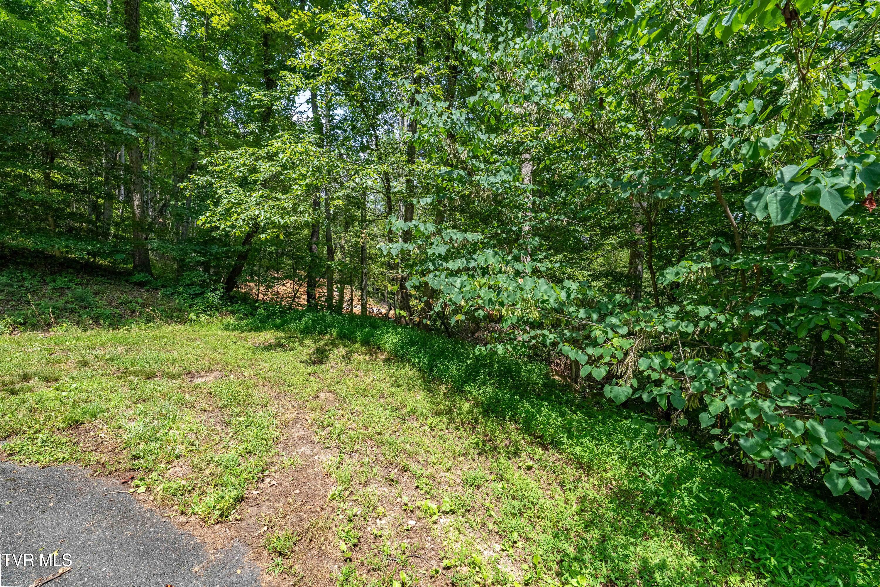 Lot 2 Lake Ridge Road, Unit 2 Butler, TN 37640 - Photo 24 of 26 Lot 2 (24 of 25)