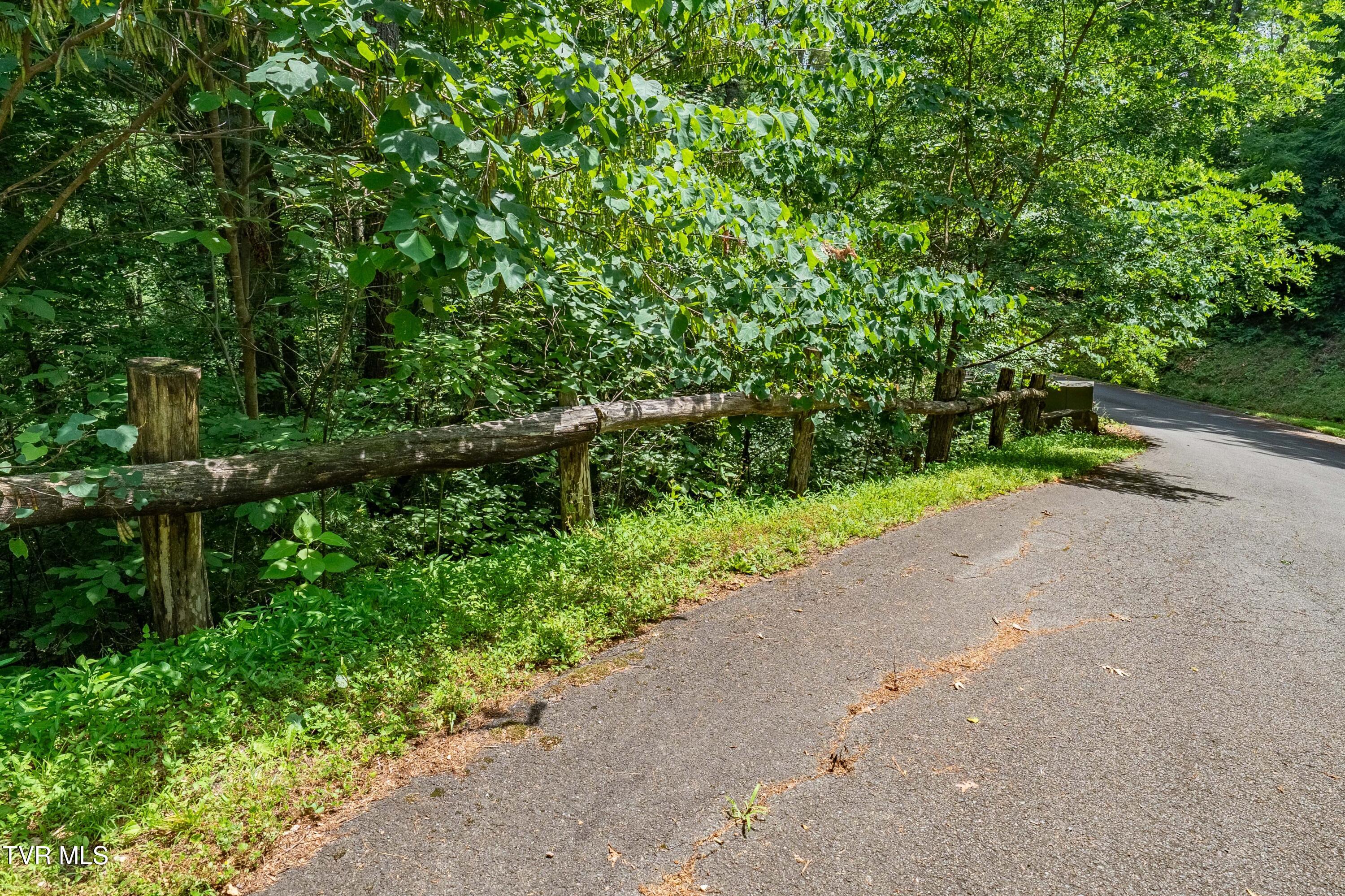Lot 2 Lake Ridge Road, Unit 2 Butler, TN 37640 - Photo 25 of 26 Lot 2 (25 of 25)