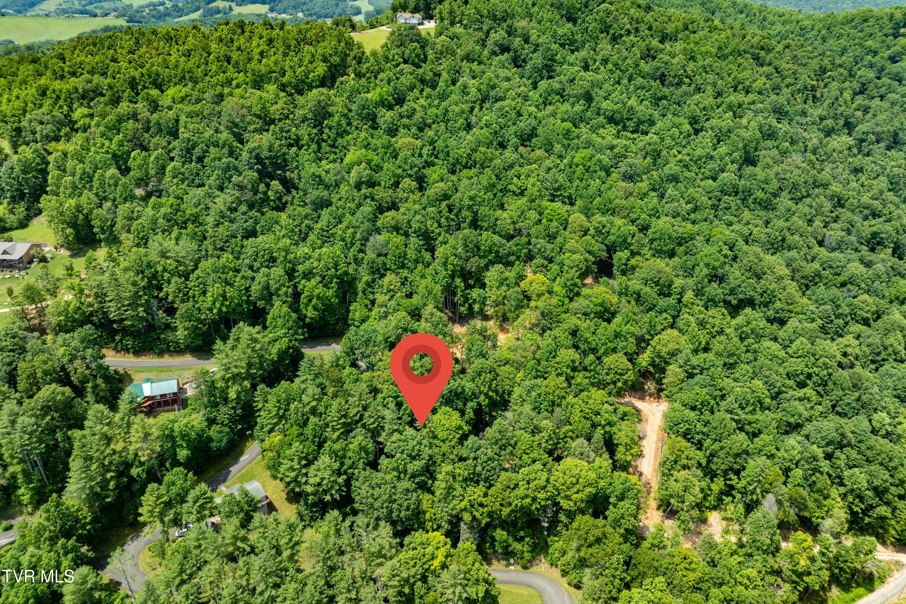 Lot 2 Lake Ridge Road, Unit 2 Butler, TN 37640 - Photo 3 of 26 Lot 2 (3 of 25)