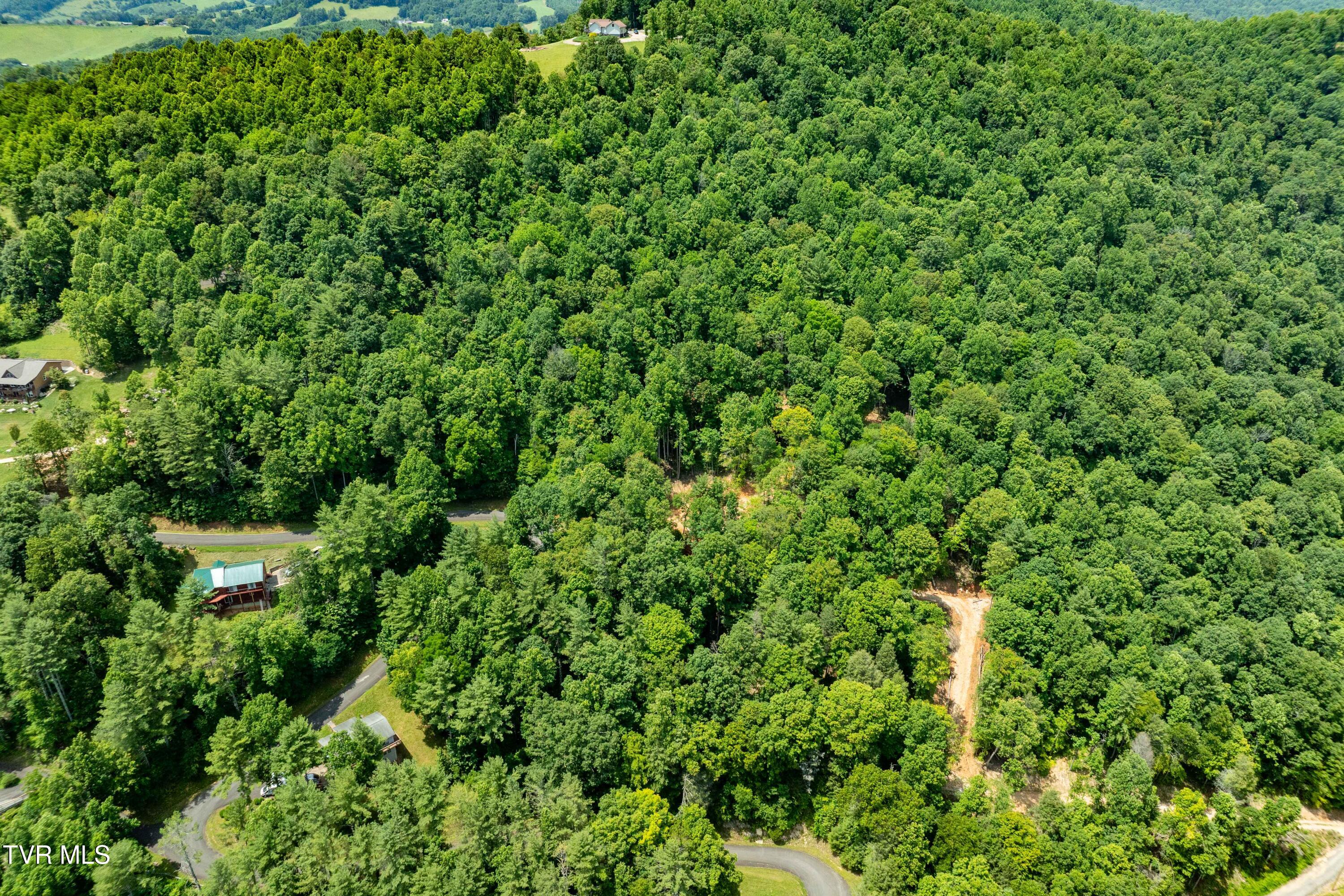 Lot 2 Lake Ridge Road, Unit 2 Butler, TN 37640 - Photo 4 of 26 Lot 2 (4 of 25)