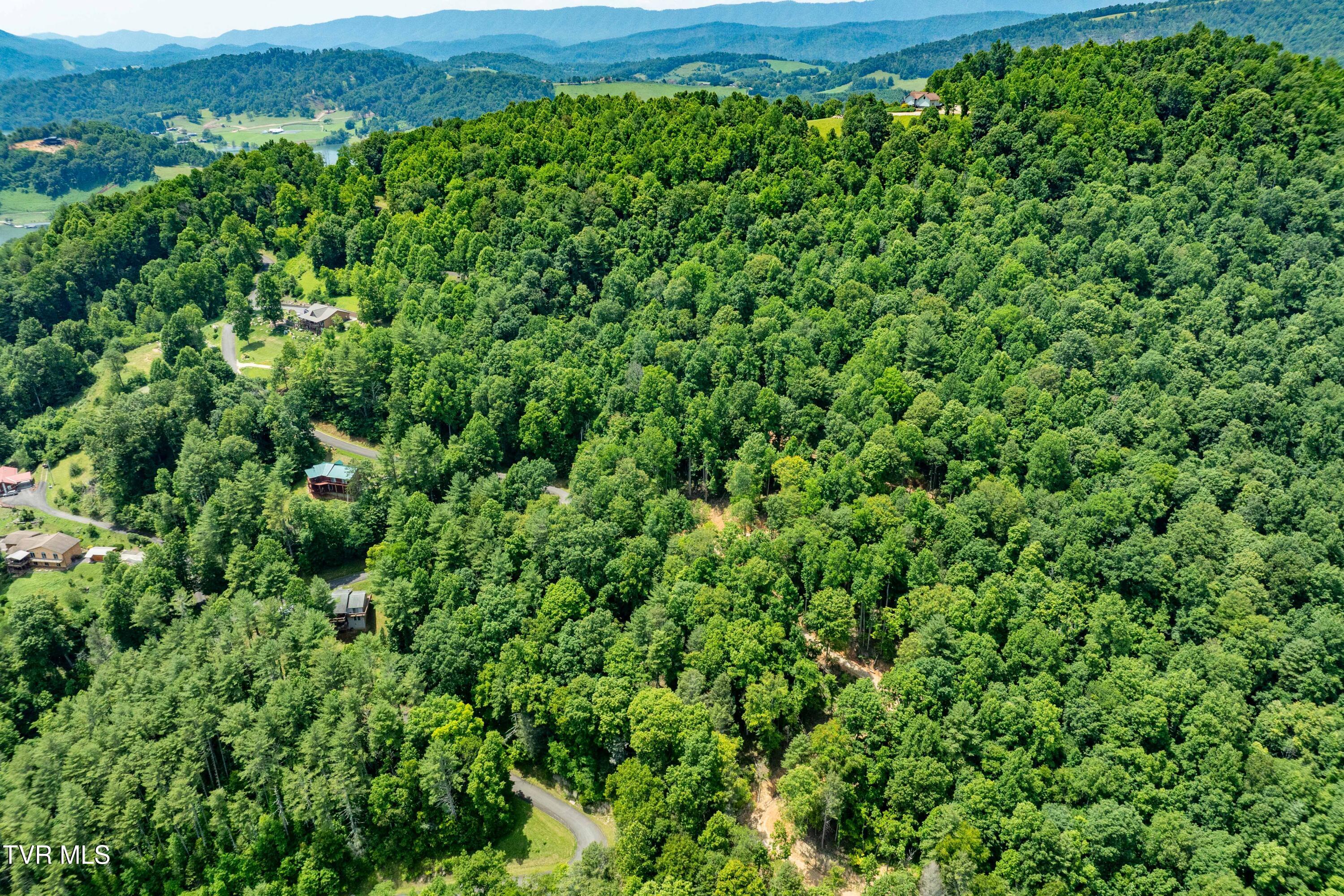 Lot 2 Lake Ridge Road, Unit 2 Butler, TN 37640 - Photo 6 of 26 Lot 2 (6 of 25)