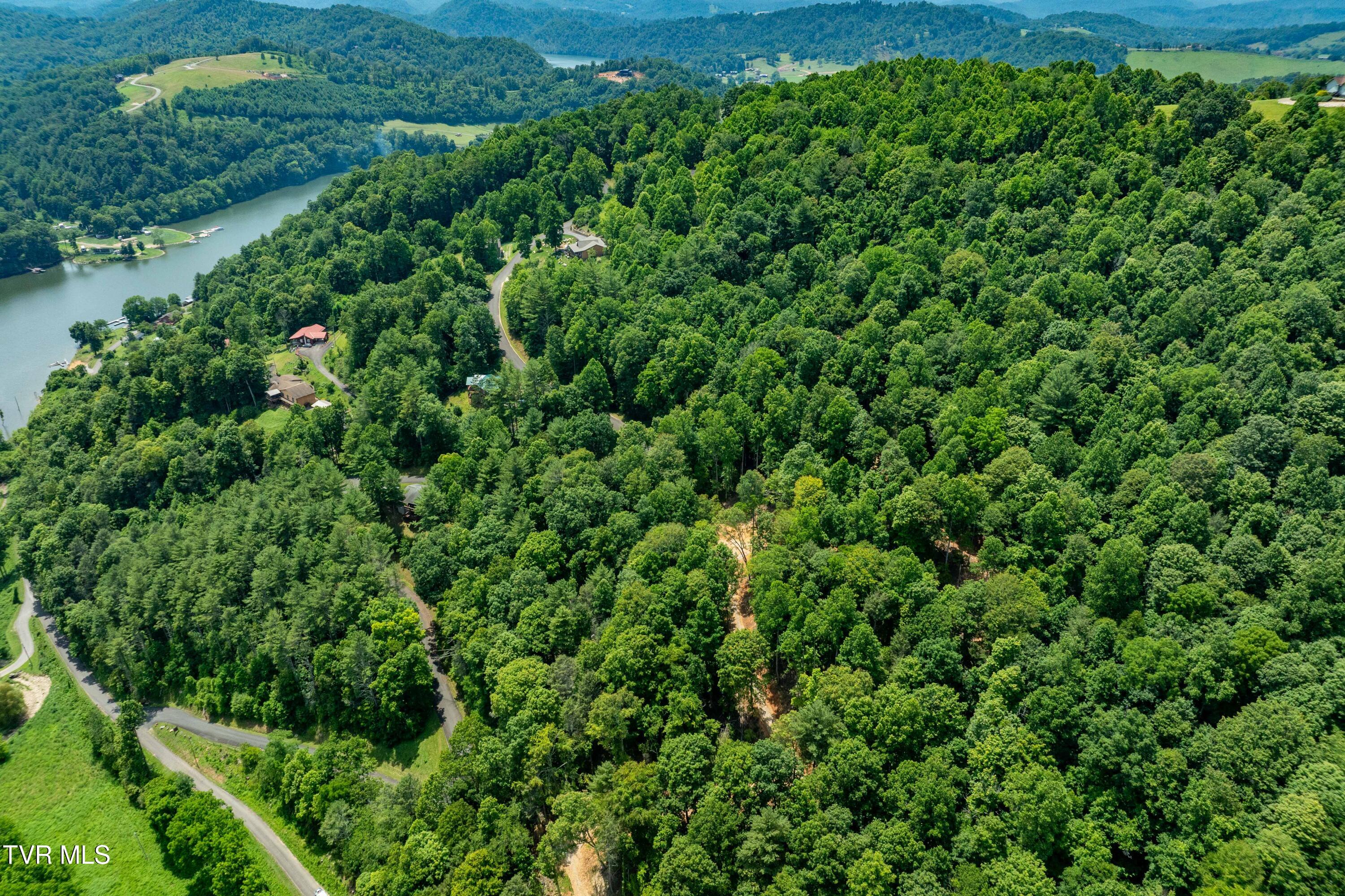 Lot 2 Lake Ridge Road, Unit 2 Butler, TN 37640 - Photo 8 of 26 Lot 2 (8 of 25)