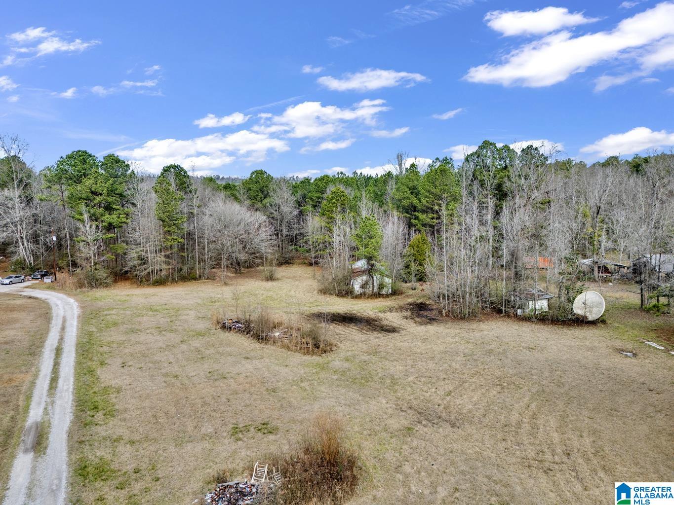 1383 Camp Branch Road, Unit 1 Alabaster, AL 35007 - Photo 6 of 20