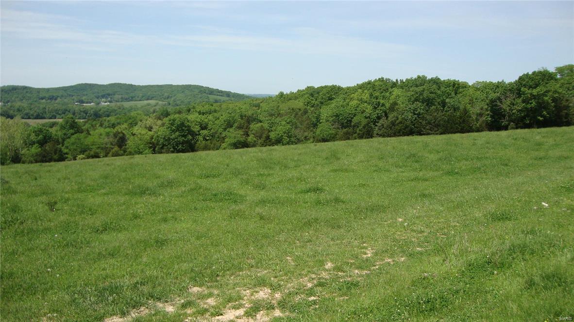 6008 Horneker Road Pacific, MO 63069 - Photo 1 of 2 Gallery Image 1