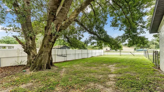 a view of backyard with tree