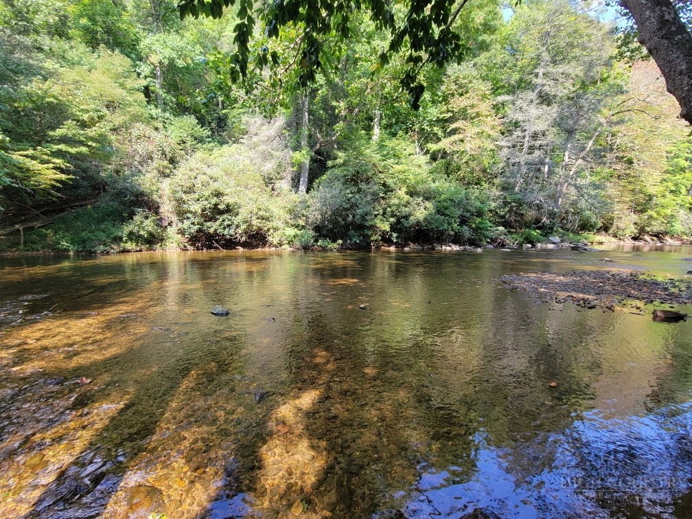 6 Walnut Ridge Road Vilas, NC 28692 - Photo 3 of 12