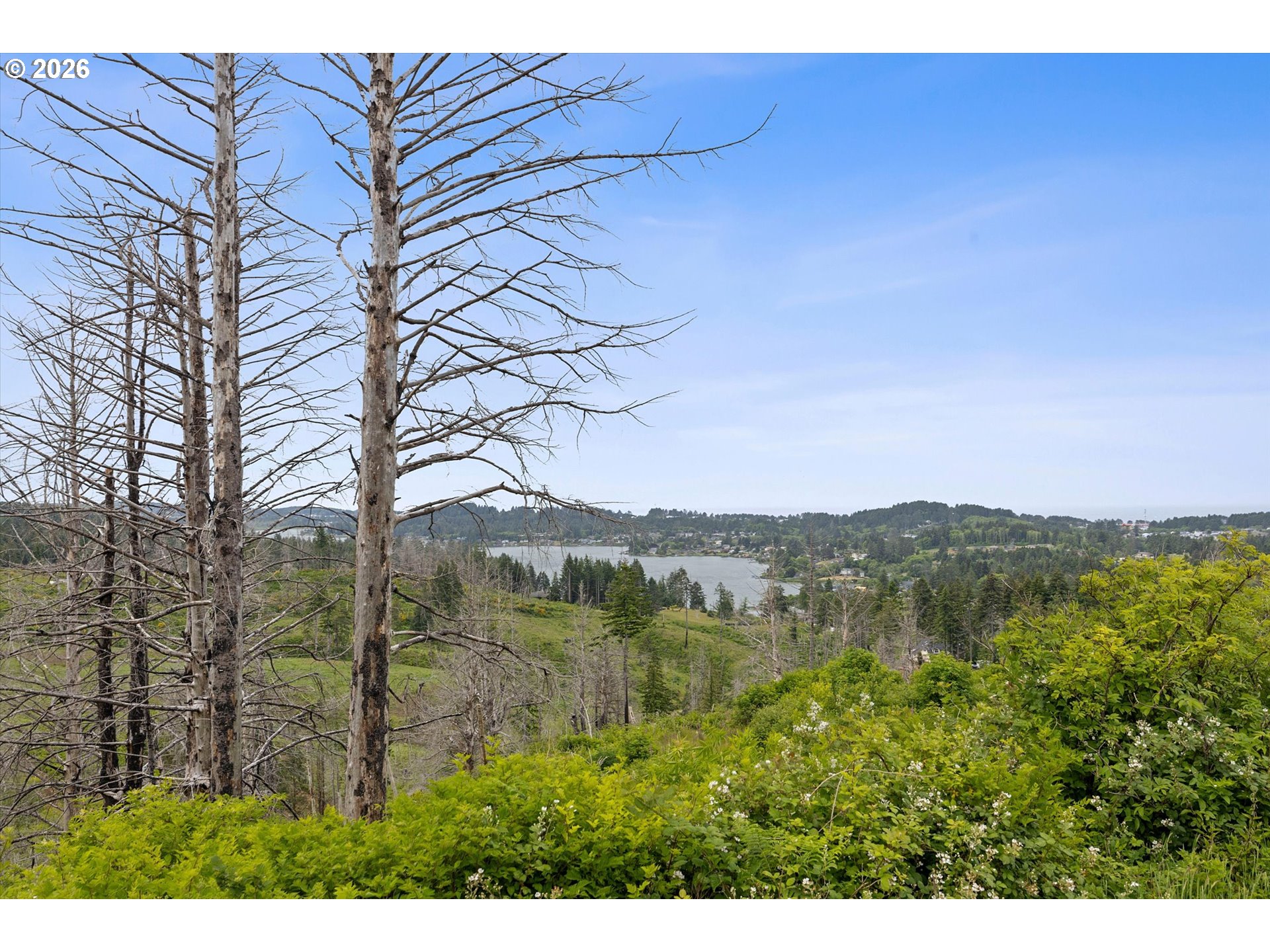 7595 Northeast Viewcrest Street Otis, OR 97368 - Photo 3 of 19