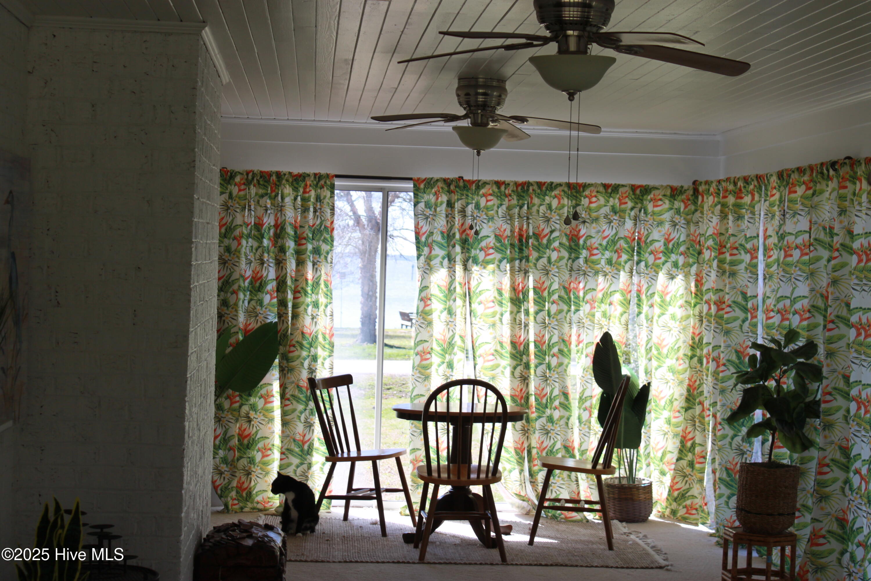 143 Country Club Drive Edenton, NC 27932 - Photo 39 of 79 2025-03-16 23.43.11