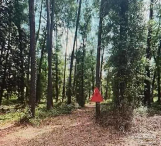 a childrens park with lots of trees