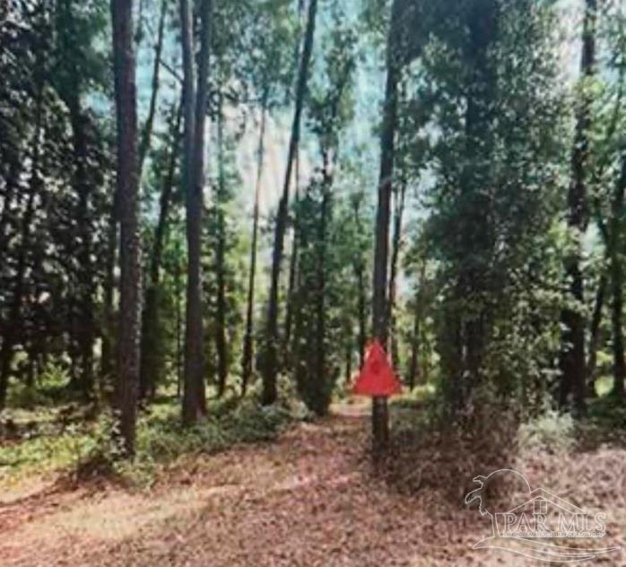 0 West Woodhaven Dairy Road West Silverhill, AL 36576 - Photo 3 of 4 a childrens park with lots of trees