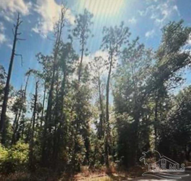 0 West Woodhaven Dairy Road West Silverhill, AL 36576 - Photo 4 of 4 a view of a tree in a yard