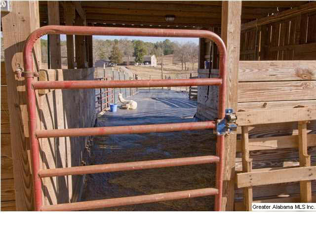 905 Smith Road Oneonta, AL 35121 - Photo 18 of 30