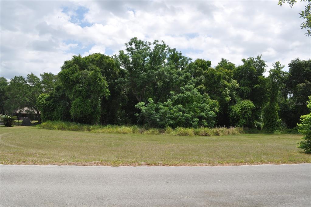 Weston Road Leesburg, FL 34748 - Photo 1 of 1 Your new homesite,