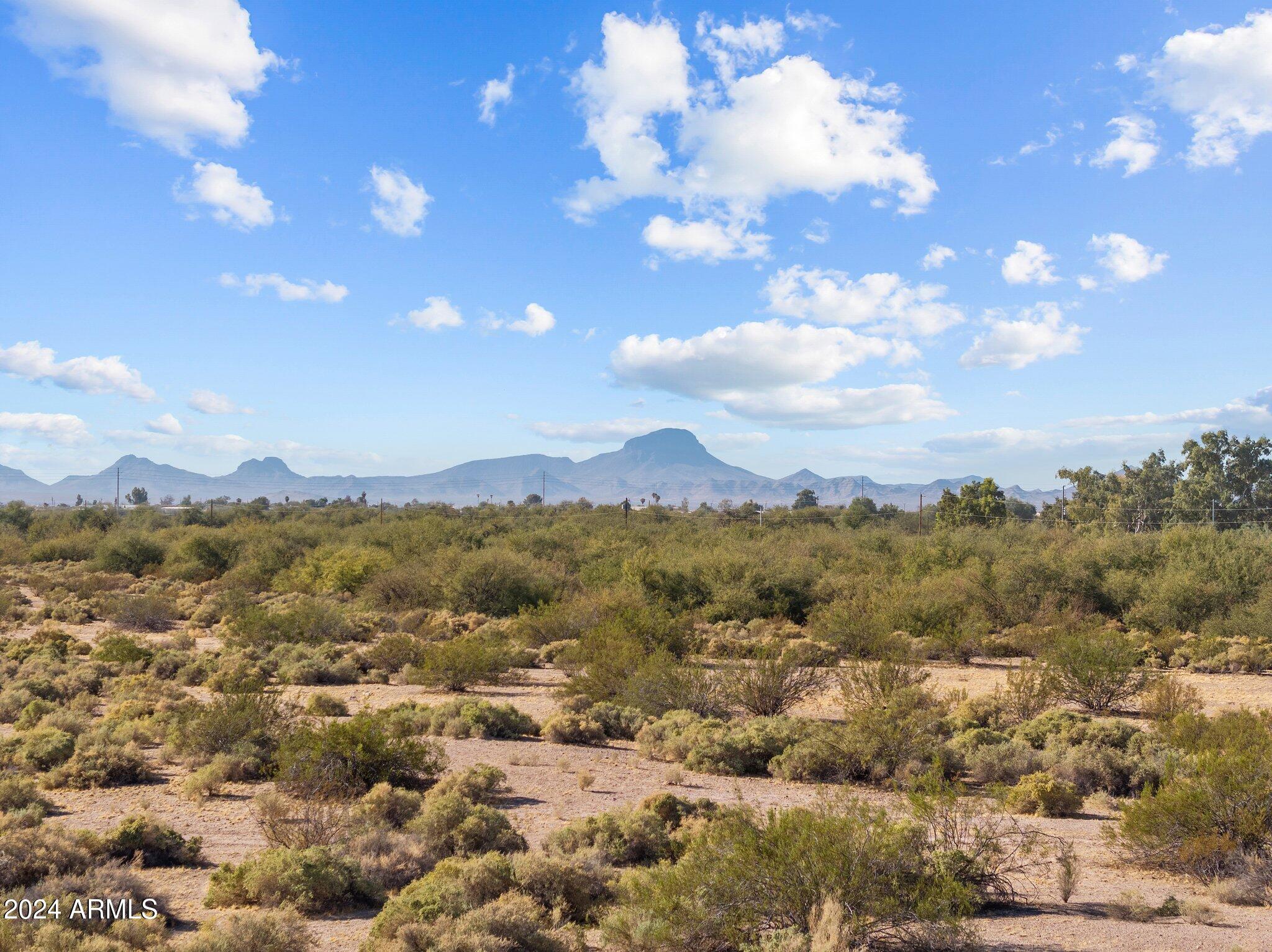0 West Carver Road, Unit LOT 1 Arlington, AZ 85322 - Photo 10 of 17