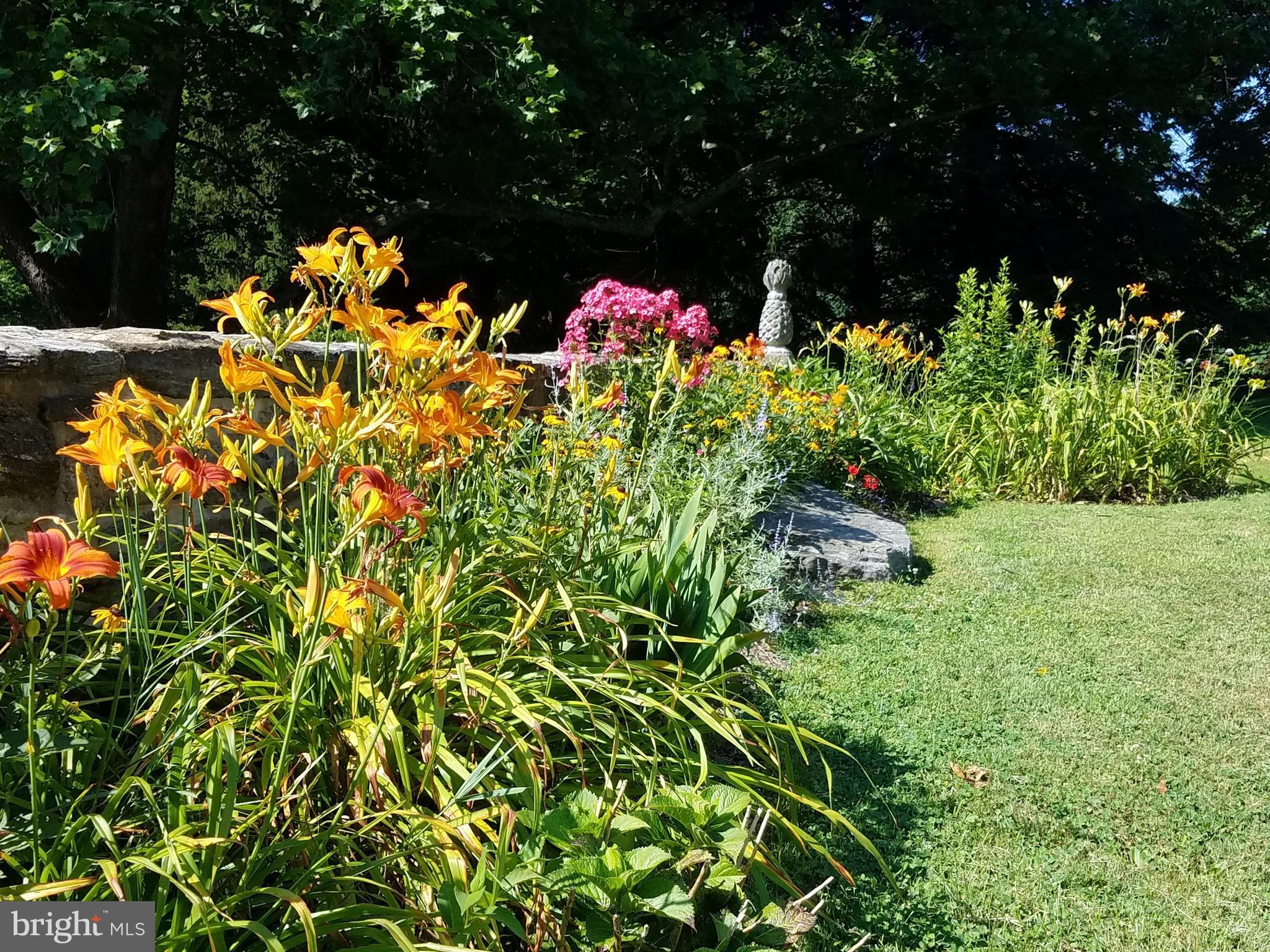 14737 Carroll Road Phoenix, MD 21131 - Photo 22 of 30 a picture of plants