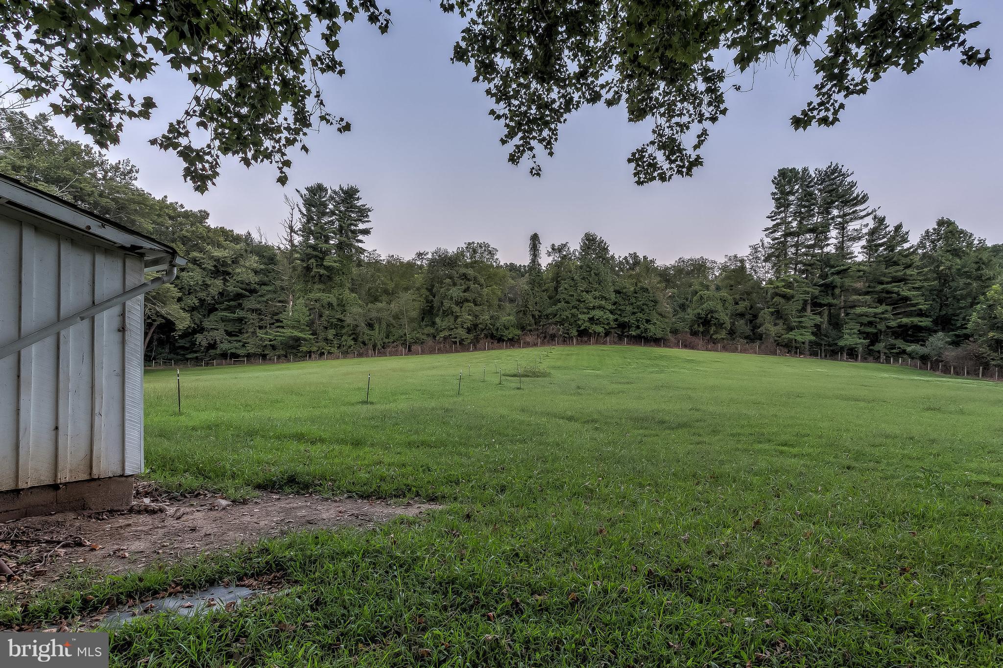 14737 Carroll Road Phoenix, MD 21131 - Photo 26 of 30 a view of a backyard with a large tree