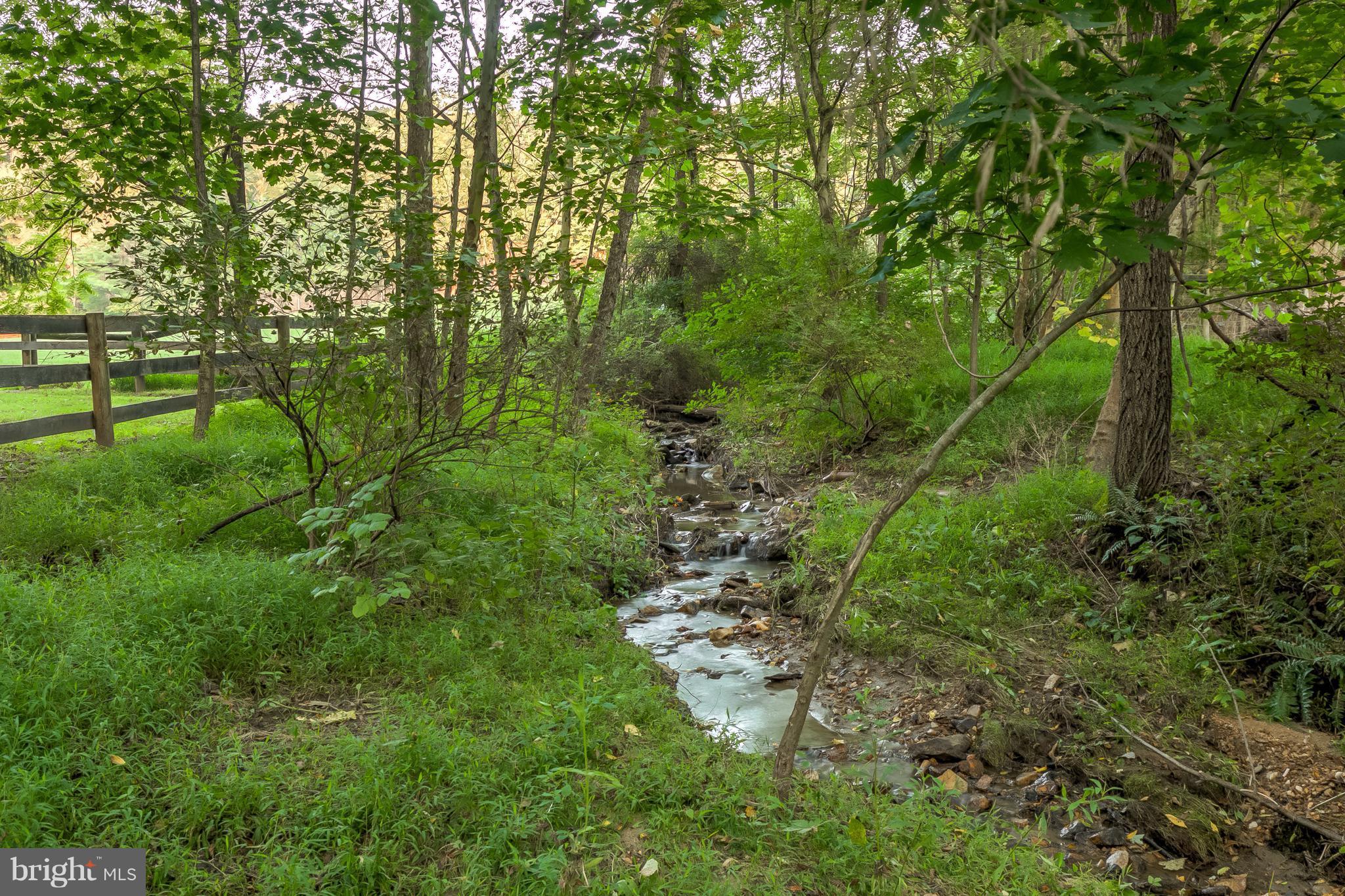 14737 Carroll Road Phoenix, MD 21131 - Photo 5 of 30 a lush green forest with lots of trees