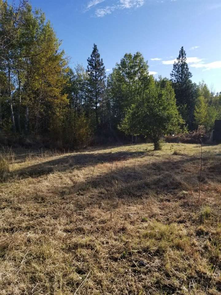 7724 West White Road Cheney, WA 99004 - Photo 3 of 10