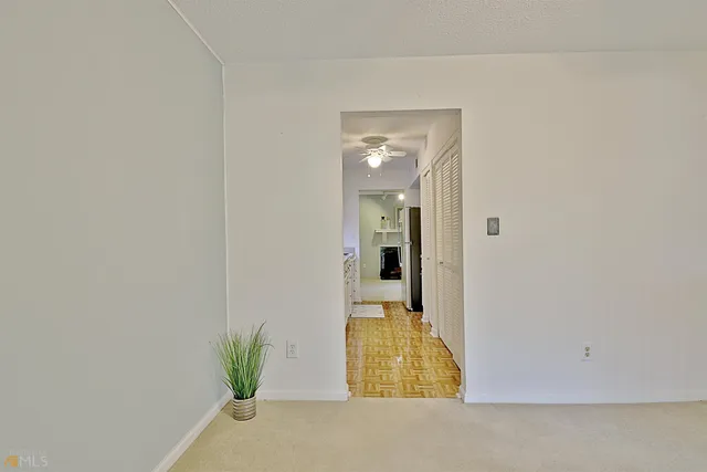 a view of a garden with plants