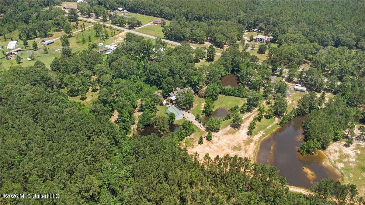 993 Highway 29 Wiggins, MS 39577 - Photo 57 of 59 57-DJI_0190