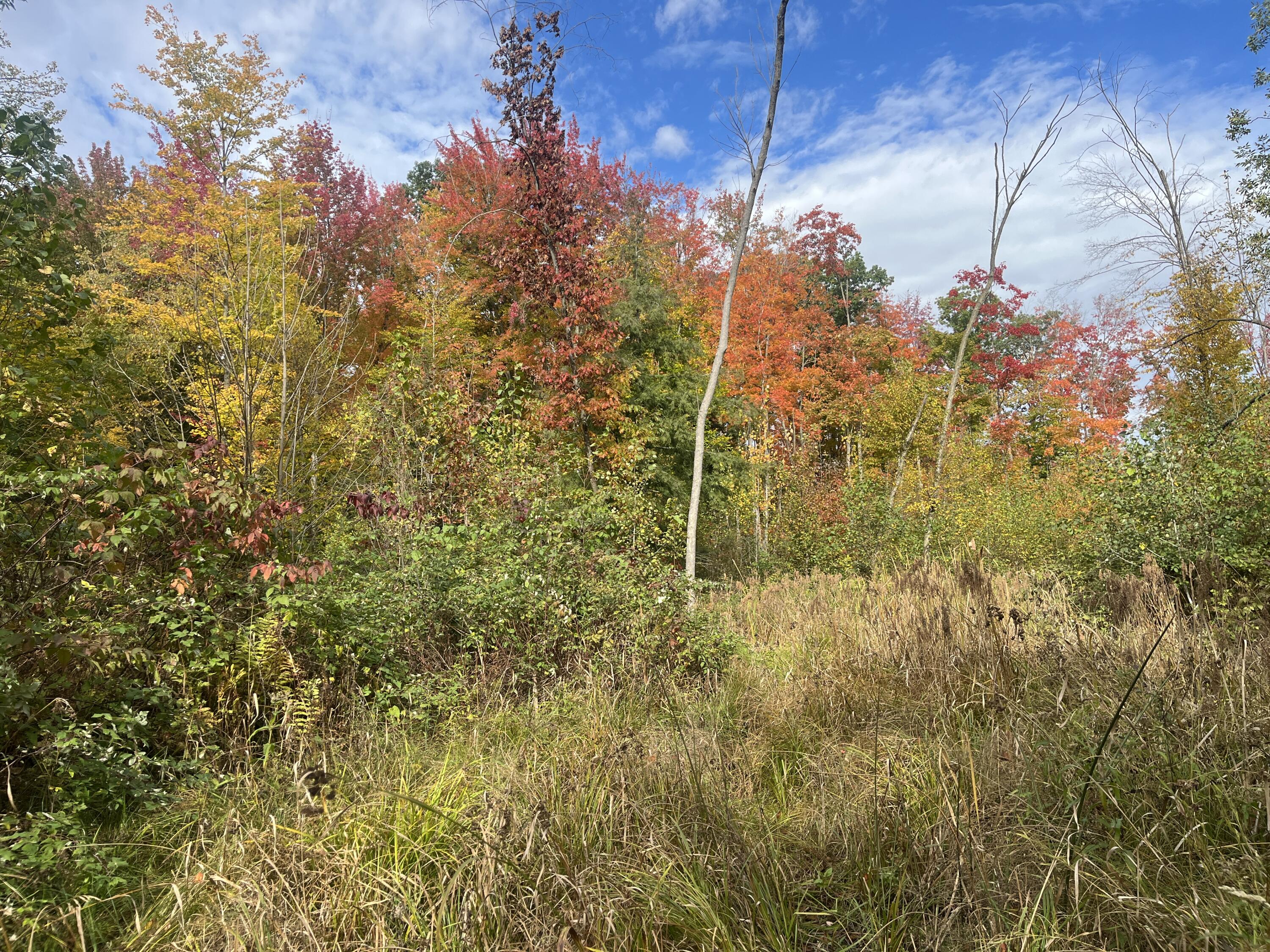 Cty Cty Shawano Line Rd Green Valley Sturgeon Bay, WI 54235 - Photo 2 of 11 Open areas